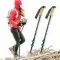 Straight Handle External Lock Carbon Fiber Trekking Pole