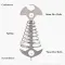 Outdoor camping fish bone ground nail spring hook